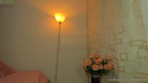 Angel  online show from 4, 8, 2026