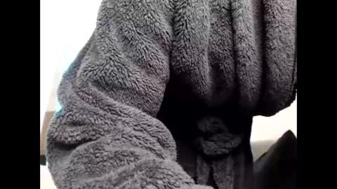 Snapshot of shy_baddie chatting on 6, 3, 2026 Sheril online show from 6, 3, 2026