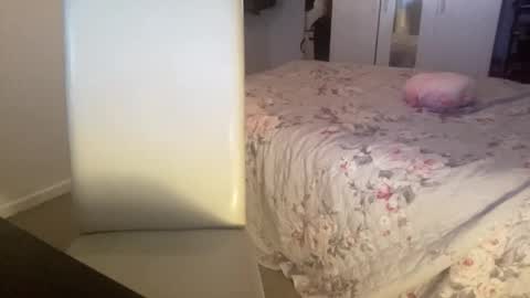 shyboy0533 online show from 4, 11, 2025