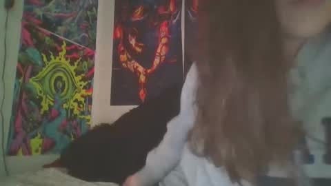 Snapshot of shymilf535 chatting on 18, 12, 2024 RBXs Princess online show from 18, 12, 2024