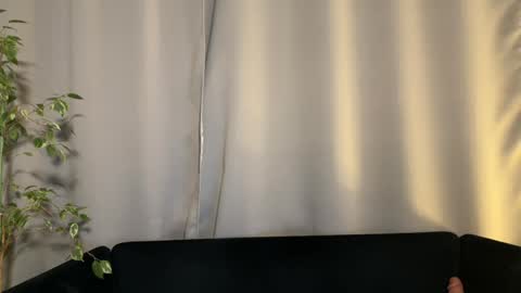 Amelia online show from 2, 2, 2025