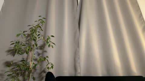 Amelia online show from 3, 2, 2025