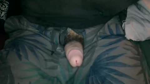 Snapshot of silentstiffler chatting on 2, 5, 2026 silentstiffler online show from 2, 5, 2026