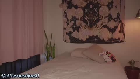 Snapshot of simon_bane01 chatting on 9, 12, 2024 Little Sunshine online show from 9, 12, 2024