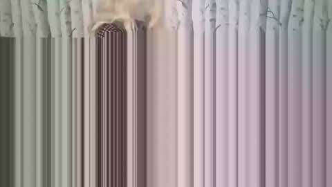 Snapshot of simontupin1973 chatting on 17, 12, 2025 simontupin1973 online show from 17, 12, 2025