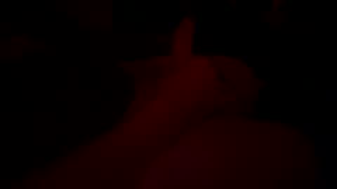 Snapshot of sir04 chatting on 21, 10, 2025 sir04 online show from 21, 10, 2025