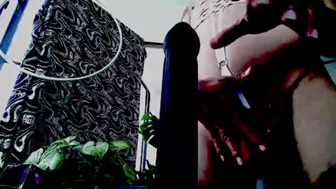siren ika666 online show from 4, 5, 2026