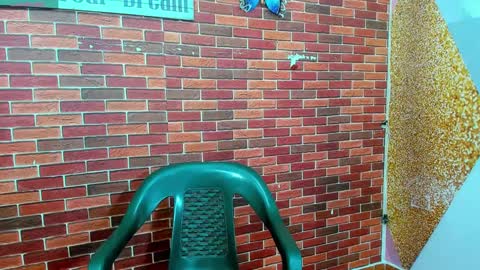 Snapshot of sirryant chatting on 27, 2, 2025 SIR RYANT online show from 27, 2, 2025