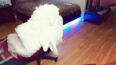 Snapshot of sissyashleigh chatting on 21, 4, 2026 Ashleigh Mak online show from 21, 4, 2026