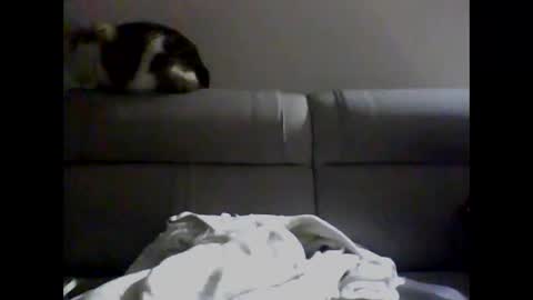 Snapshot of skater19xxx chatting on 2, 12, 2024 miguel online show from 2, 12, 2024