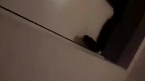 skimmer70z online show from 14, 9, 2025