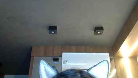 skinnykittencam online show from 2, 10, 2025