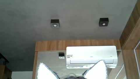 skinnykittencam online show from 14, 10, 2025