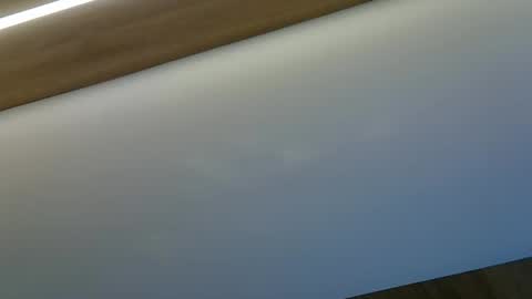 skinnykittencam online show from 29, 10, 2025