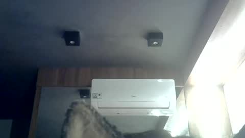 skinnykittencam online show from 28, 6, 2026
