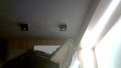 skinnykittencam online show from 4, 7, 2026