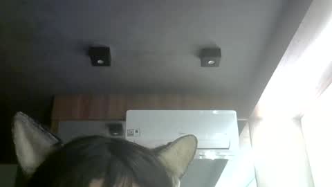 skinnykittencam online show from 8, 7, 2026