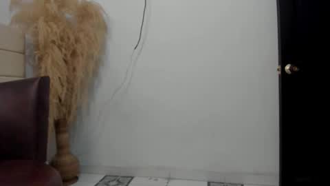 Snapshot of sky_dancer chatting on 23, 12, 2025 Reuben online show from 23, 12, 2025