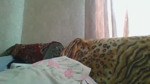 Snapshot of skyressie333 chatting on 21, 4, 2026 skyressie333 online show from 21, 4, 2026