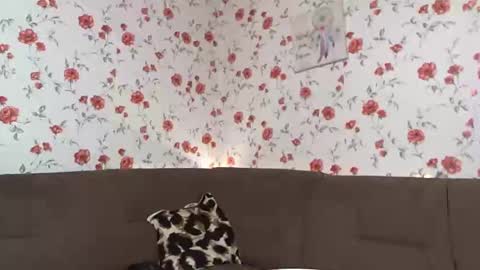 Sky online show from 10, 12, 2024