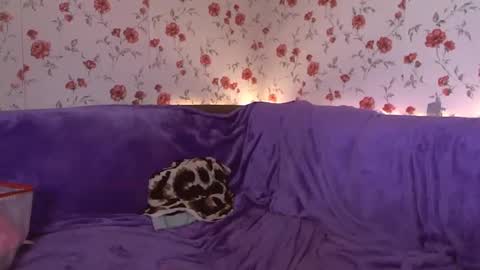 Sky online show from 24, 2, 2025