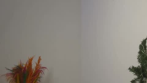 Bella online show from 4, 2, 2025