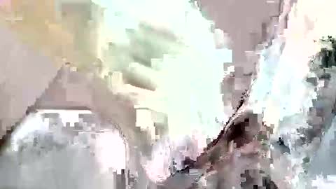 Z online show from 12, 11, 2025