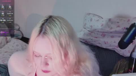 SleepyHeadCat online show from 7, 4, 2026