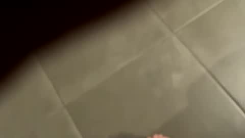 slimlord90 online show from 25, 1, 2025