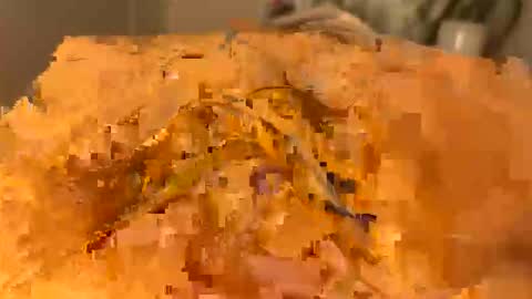 Snapshot of slipmytip chatting on 5, 12, 2025 slipmytip online show from 5, 12, 2025