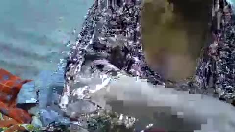 slutmeoutbb online show from 21, 9, 2025