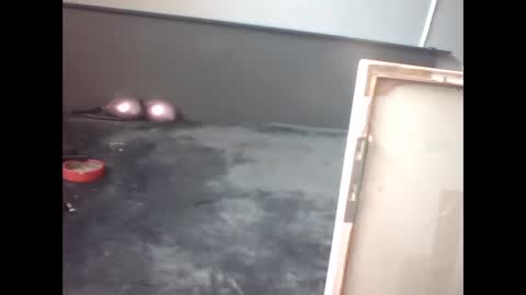 slutviki online show from 15, 2, 2026