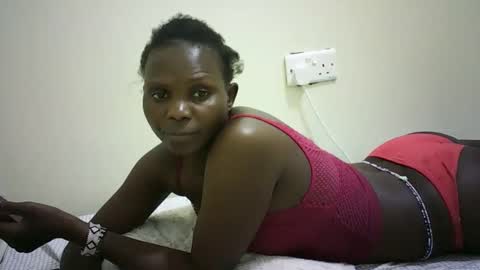 small_booby online show from 24, 3, 2026