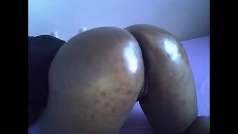 smart_lilly online show from 11, 4, 2026