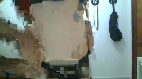 Snapshot of smile3555 chatting on 12, 9, 2025 willy online show from 12, 9, 2025