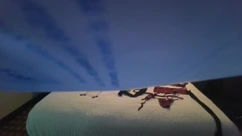 love bug online show from 26, 10, 2025