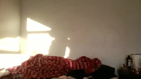 Bambi--Vodka online show from 22, 12, 2024