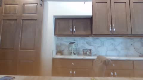 Bambi--Vodka online show from 30, 1, 2025