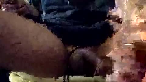 Lets play n party online show from 7, 1, 2026