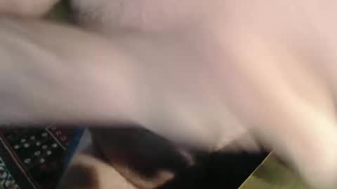 Snapshot of snudge432 chatting on 4, 1, 2025 snudge432 online show from 4, 1, 2025