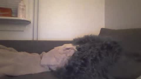 Snapshot of sof73 chatting on 2, 5, 2026 sof73 online show from 2, 5, 2026
