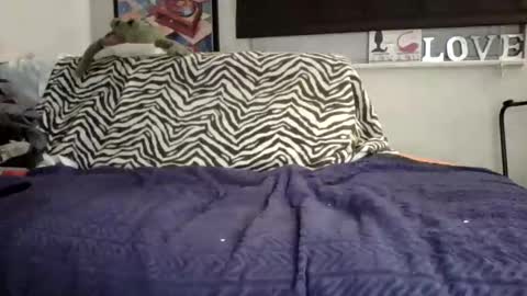 Snapshot of sofaking9 chatting on 2, 11, 2025 MicroAngelo online show from 2, 11, 2025