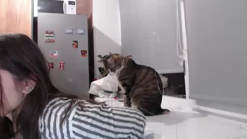 Sofi online show from 11, 2, 2025