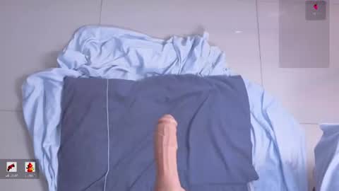 sofia_foxx1 online show from 20, 6, 2026