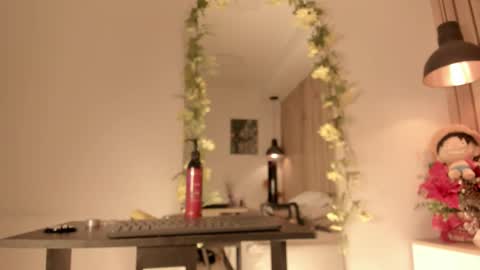 Snapshot of sofiesoft chatting on 5, 1, 2026 Sofie online show from 5, 1, 2026