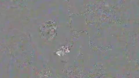 Snapshot of solilay chatting on 29, 3, 2026 solilay online show from 29, 3, 2026