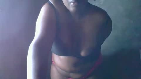 Solly bunny online show from 19, 1, 2026