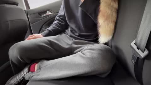 Snapshot of sondages chatting on 23, 2, 2025 Sondages online show from 23, 2, 2025