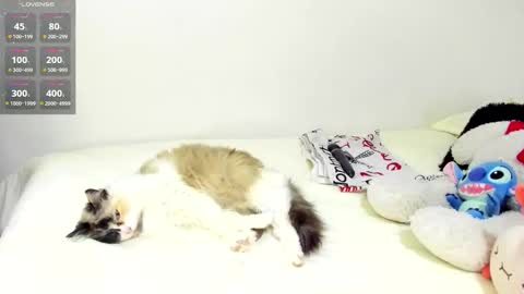 Snapshot of sophiebaker__ chatting on 20, 9, 2025 sophiebaker__ online show from 20, 9, 2025