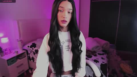    online show from 5, 11, 2025